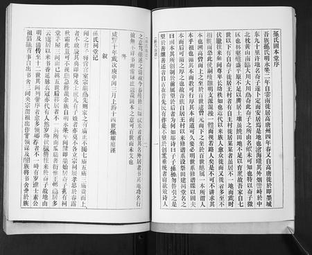 山东孙氏-孙氏族谱[不分卷].pdf电子版预览图4