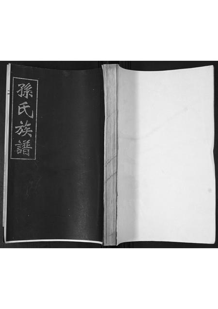 山东孙氏-孙氏族谱[不分卷].pdf电子版缩略图