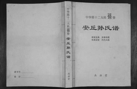 山东孙氏-安丘孙氏族谱.pdf电子版缩略图