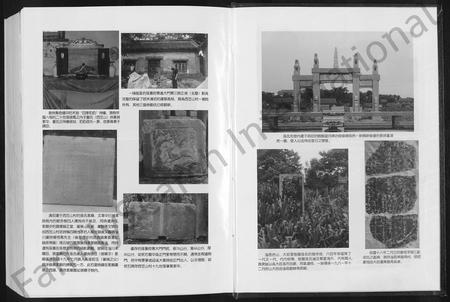 山东孙氏-般阳孙氏家谱(四支一册) [不分卷].pdf电子版预览图5