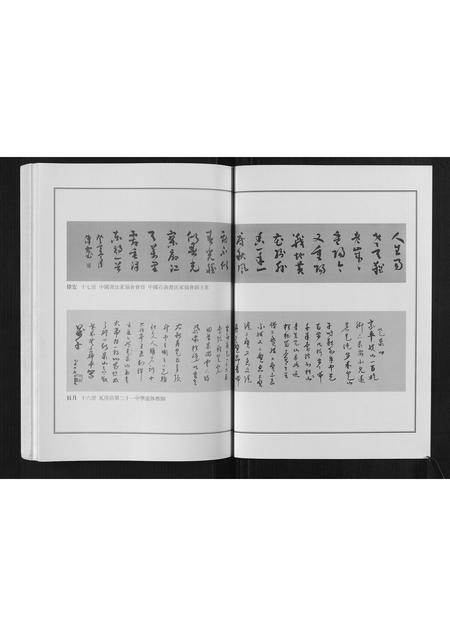 山东孙氏-莱阳湾头孙氏宗谱[2卷].pdf电子版预览图3