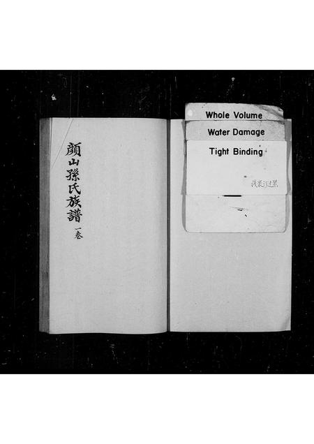 山东孙氏-颜山孙氏族谱.pdf电子版预览图1