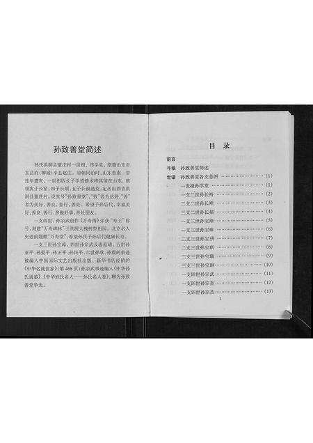 山西孙氏-孙致善堂家谱[不分卷].pdf电子版预览图1
