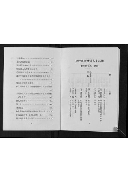 山西孙氏-孙致善堂家谱[不分卷].pdf电子版预览图3