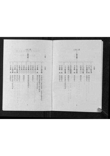 山西孙氏-孙致善堂家谱[不分卷].pdf电子版预览图4