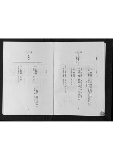 山西孙氏-孙致善堂家谱[不分卷].pdf电子版预览图5