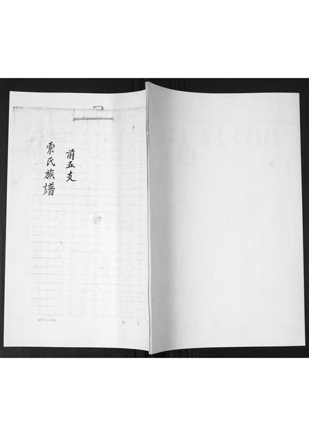 山东索氏-索氏族谱.pdf电子版缩略图