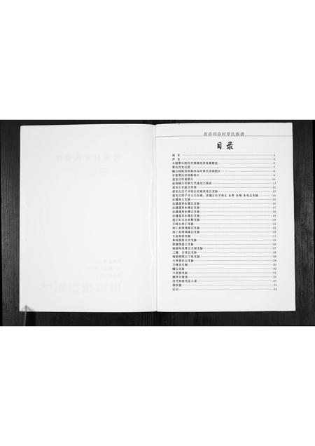 广西覃氏-周眷村覃氏族谱.pdf电子版预览图2