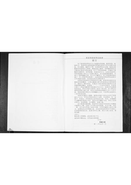 广西覃氏-周眷村覃氏族谱.pdf电子版预览图3