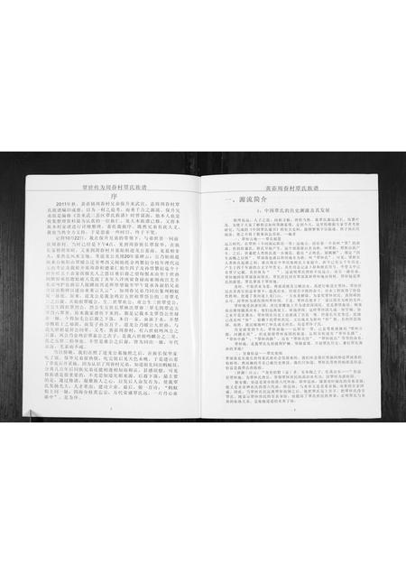 广西覃氏-周眷村覃氏族谱.pdf电子版预览图4