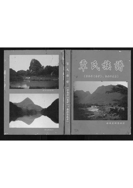 广西覃氏-覃氏族谱.覃永国永安公支系.pdf电子版缩略图