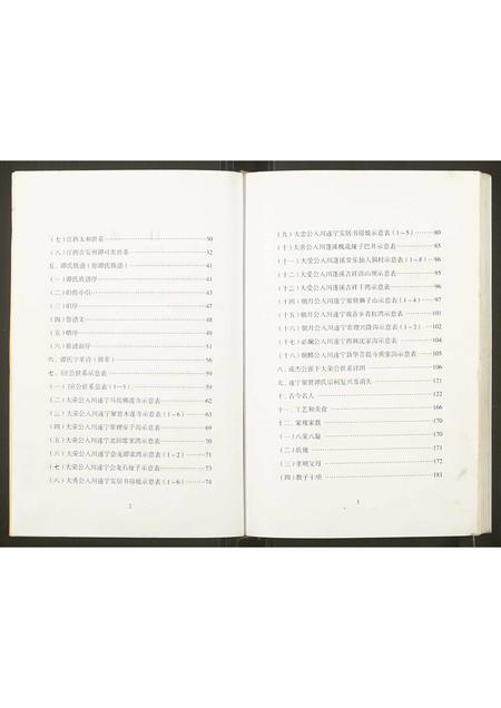 四川谭氏-谭瑱族谱.pdf电子版预览图2