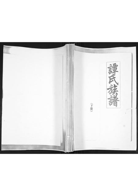 山东谭氏-谭氏族谱.pdf电子版缩略图