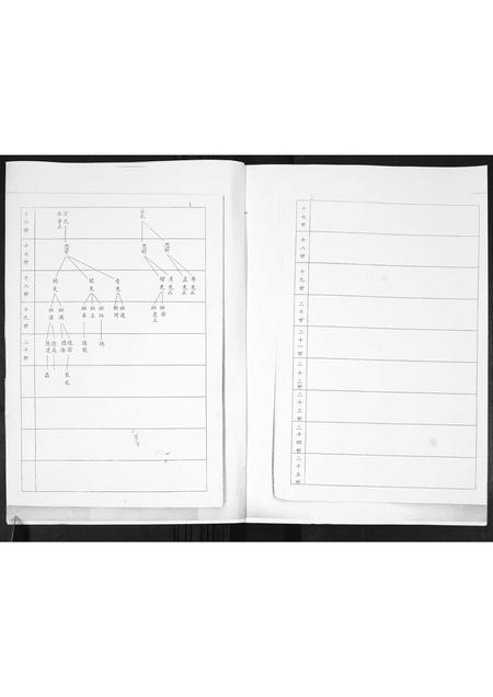 山东谭氏-谭氏族谱.pdf电子版预览图1