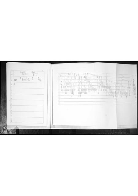 山东谭氏-谭氏族谱.pdf电子版预览图4