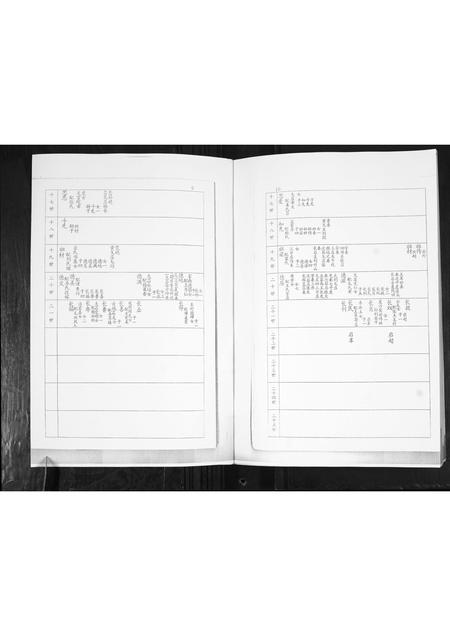 山东谭氏-谭氏族谱.pdf电子版预览图5