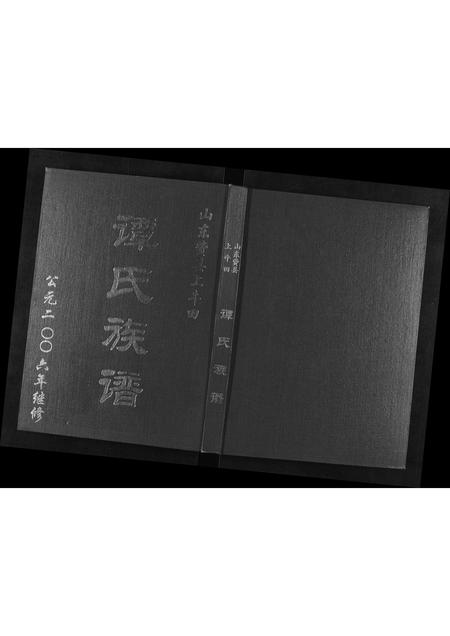 山东谭氏-谭氏族谱[不分卷].pdf电子版缩略图