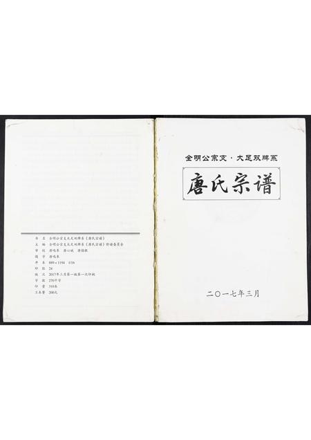 四川唐氏-唐氏宗谱.pdf电子版缩略图