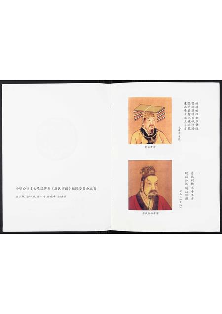 四川唐氏-唐氏宗谱.pdf电子版预览图2