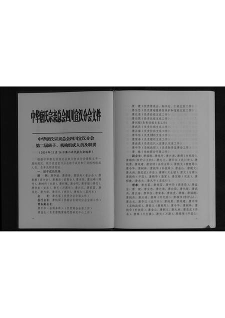 四川唐氏-中华唐氏通谱.pdf电子版预览图3