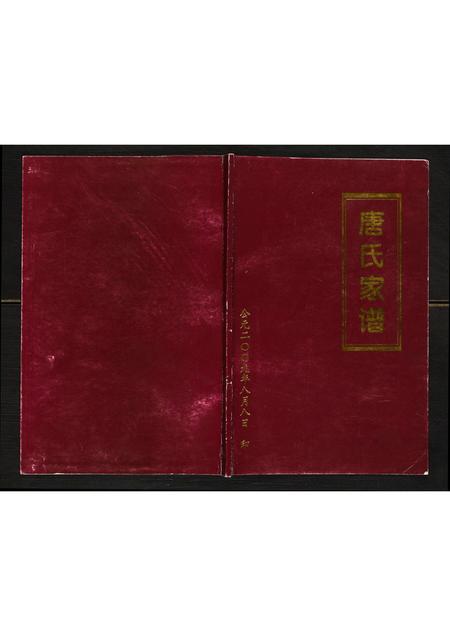 四川唐氏-唐氏家谱.pdf电子版缩略图