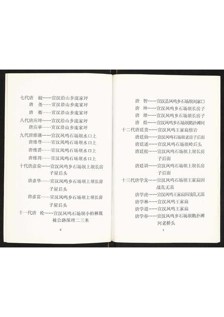 四川唐氏-唐氏家谱.pdf电子版预览图5