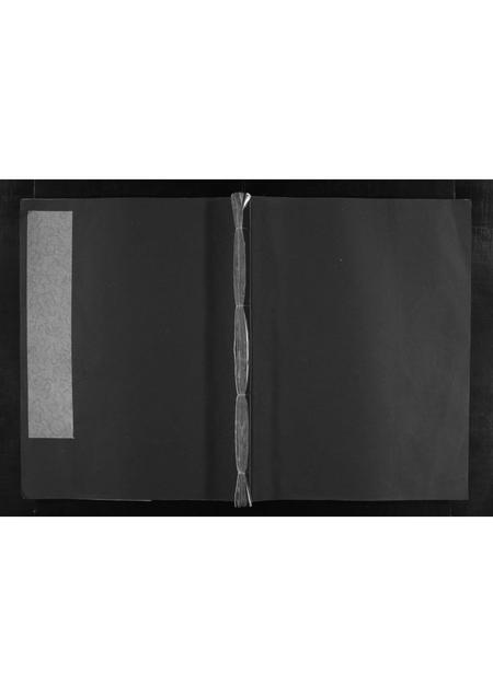 四川唐氏-唐氏族谱 [不分卷](别名：Tang Shi Zu Pu).pdf电子版预览图1