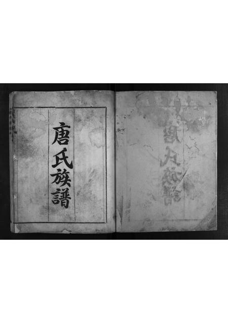 四川唐氏-唐氏族谱 [不分卷](别名：Tang Shi Zu Pu).pdf电子版预览图2