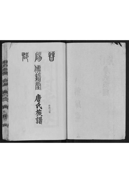 四川唐氏-唐氏族谱[4卷].pdf电子版预览图2