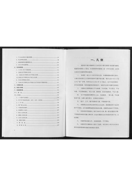 四川唐氏-晋阳郡唐氏宗谱.pdf电子版预览图2