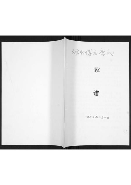 山东唐氏-唐氏家谱.pdf电子版缩略图