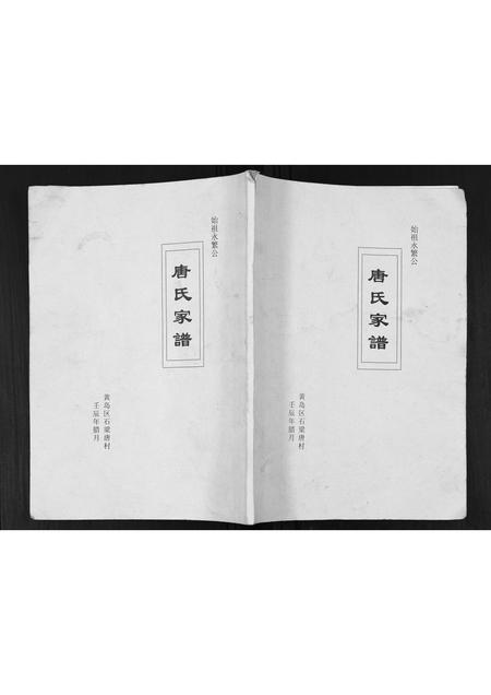 山东唐氏-唐氏家谱.pdf电子版缩略图