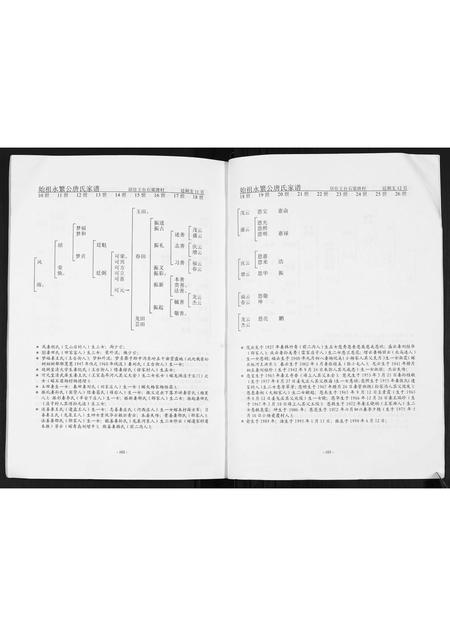 山东唐氏-唐氏家谱.pdf电子版预览图2