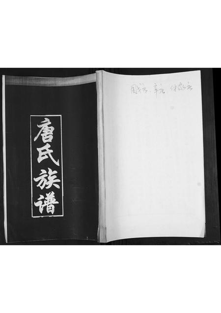 山东唐氏-唐氏族谱.pdf电子版缩略图