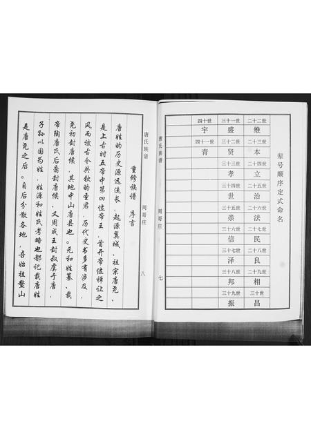 山东唐氏-唐氏族谱.pdf电子版预览图4