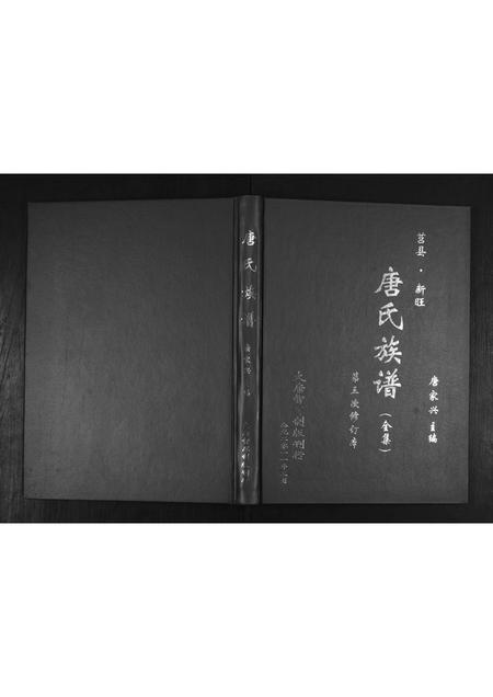 山东唐氏-唐氏族谱.pdf电子版缩略图