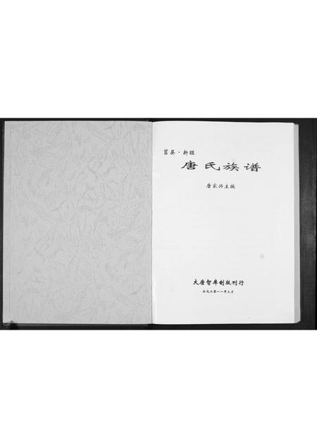 山东唐氏-唐氏族谱.pdf电子版预览图1