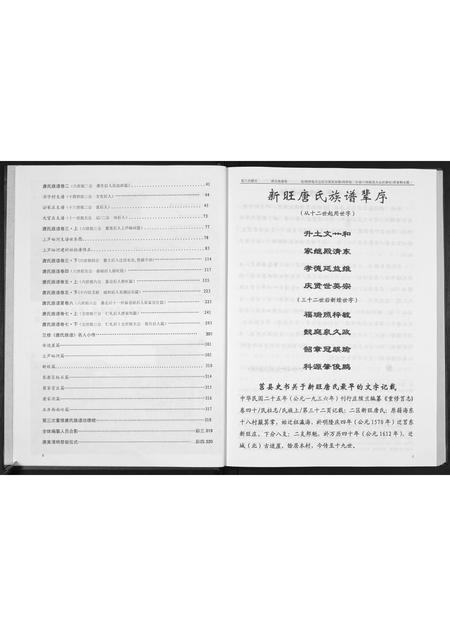 山东唐氏-唐氏族谱.pdf电子版预览图5