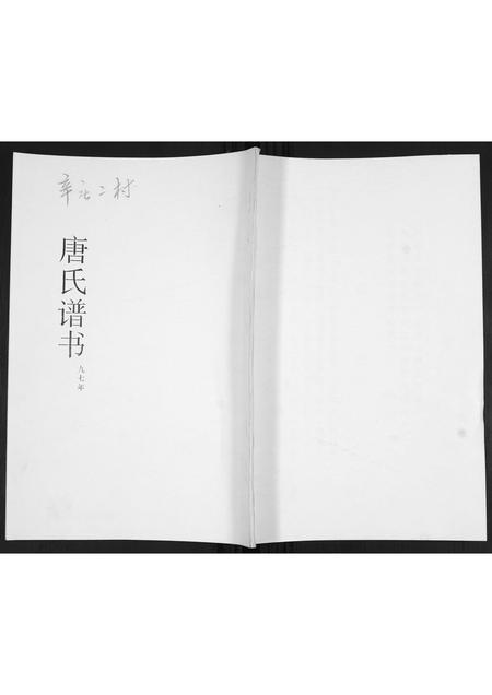 山东唐氏-唐氏谱书.pdf电子版缩略图