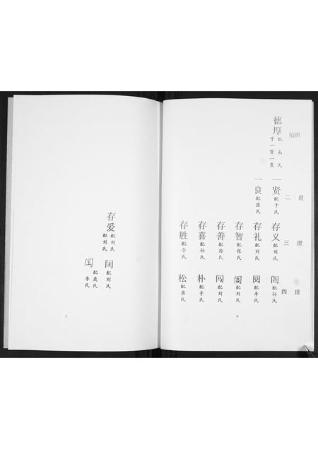 山东唐氏-唐氏谱书.pdf电子版预览图4