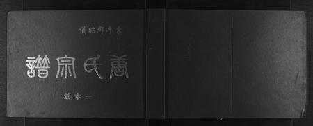 广西唐氏-唐氏宗谱[不分卷].pdf电子版缩略图