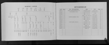 广西唐氏-唐氏宗谱[不分卷].pdf电子版预览图3