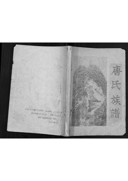 广西唐氏-唐氏族谱[不分卷].pdf电子版缩略图