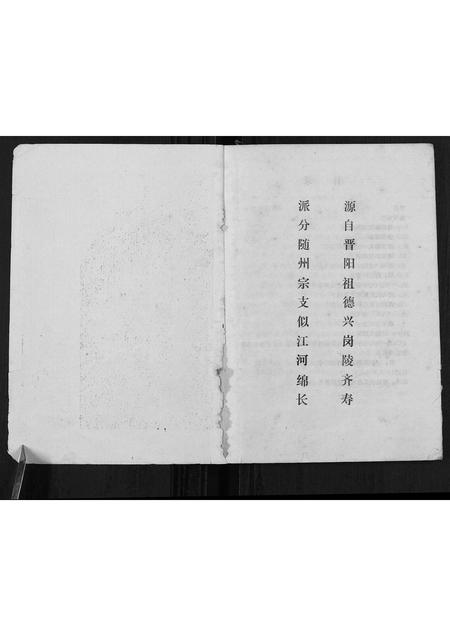 广西唐氏-唐氏族谱[不分卷].pdf电子版预览图1