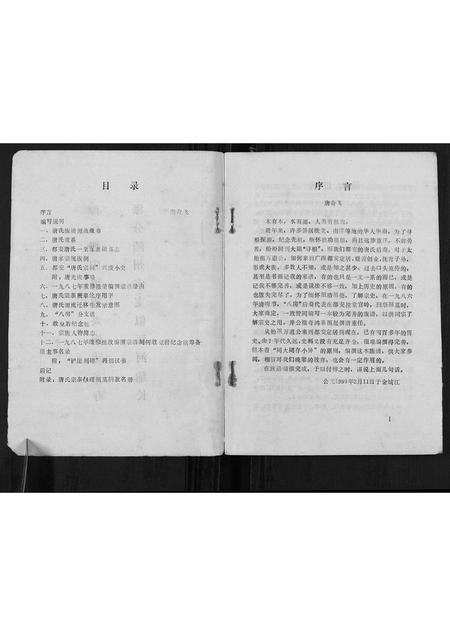 广西唐氏-唐氏族谱[不分卷].pdf电子版预览图2