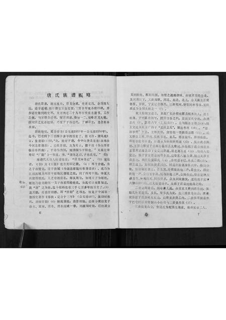 广西唐氏-唐氏族谱[不分卷].pdf电子版预览图5