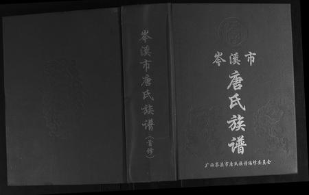 广西唐氏-岑溪唐氏族谱.pdf电子版缩略图