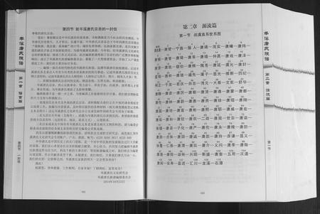 广西唐氏-岑溪唐氏族谱.pdf电子版预览图5