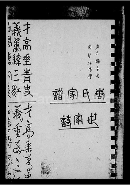 海南唐氏-荔枝塘村唐氏修家谱.pdf电子版预览图1