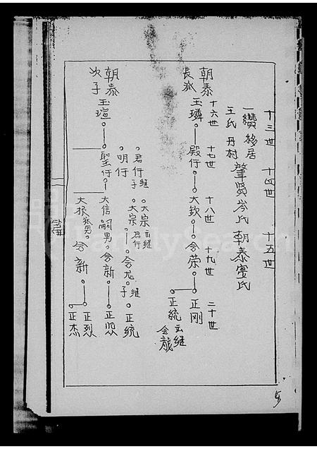 海南唐氏-荔枝塘村唐氏修家谱.pdf电子版预览图5